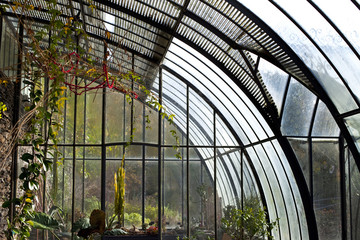 Véranda, serre, jardin, plantes, maison, jardinage, vert