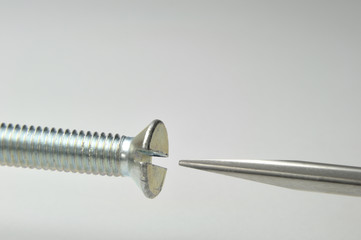 screw and screwdriver aligned on white background - DSC0926