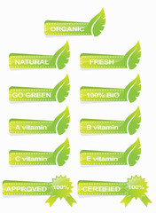 Obraz premium green web banner