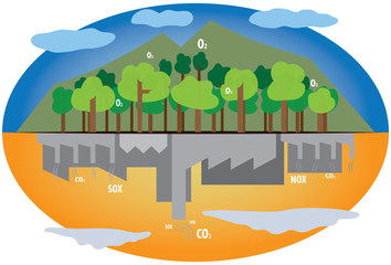 the forest and the industry