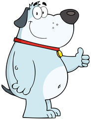 Smiling Gray Fat Dog Showing Thumbs Up