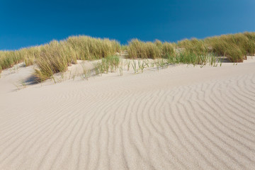 Sand dunes with grass in The Netherlands