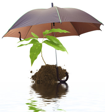 concept protection nature environnement &eacute;cologie