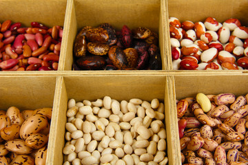 Diverse beans in wooden box sections close-up