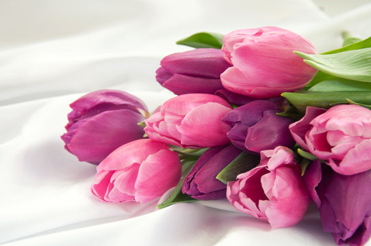 Pink and violet tulips on white silk