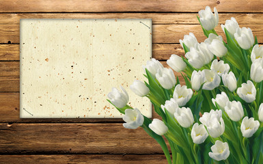 tulipani sul legno