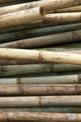 Stack of bamboos