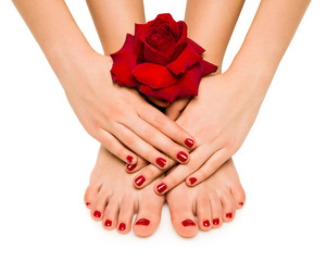manicure and pedicure shows girl with rose