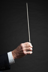 Conductor conducting an orchestra isolated.
