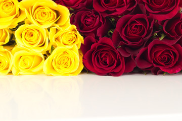 Closeup of roses