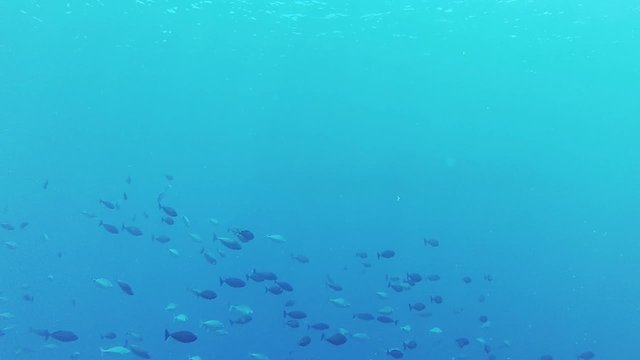 open water | blue