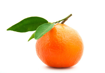 tangerine