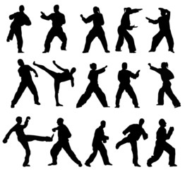 taekwondo-fighter - vector