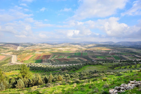 Israeli landscape