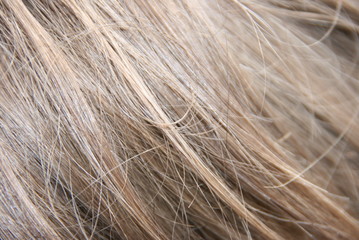 Blond hair