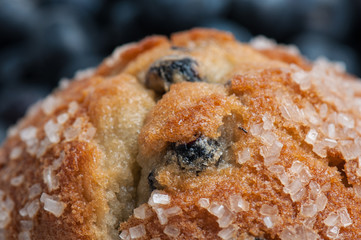 Blueberry Muffin Close Up