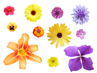 Blumenset_03 © wolfenheimer