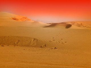 Fototapeta na wymiar sahara sand desert