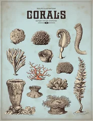 Cercles muraux Poster vintage illustrations de la vie marine : coraux, éponges et anémones de mer (1)