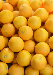 citrus fruits background