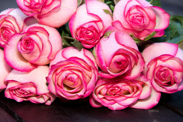 Wedding roses