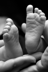 Fototapeta premium Parents holding baby feet