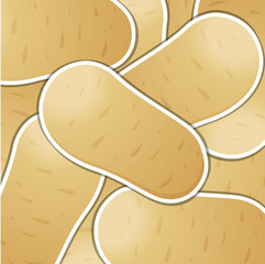 Dutch cream potato background/card in vector format.