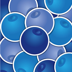 Blueberry background/card in vector format.