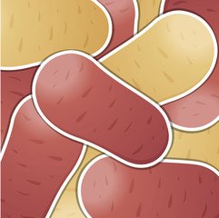 Mixed potato background/card in vector format. 