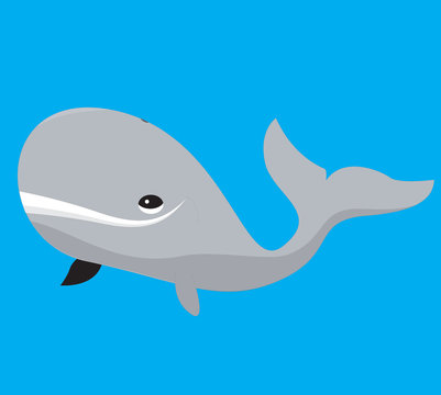 A vector illustration of a grey cartoon whale on blue background