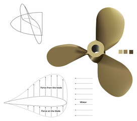 A vector propeller complete with technical drawings. © lifeofriley