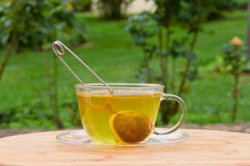 cup of tea in green garden