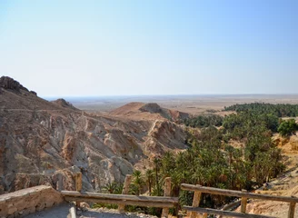 Fotobehang Spectacular Canyons of the oasis of Nefta, Chebika, Tunisia © Letizia