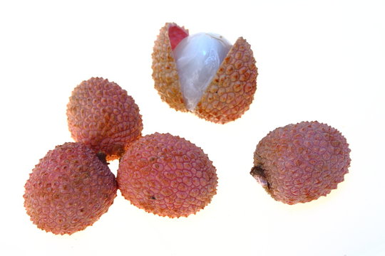 litchi