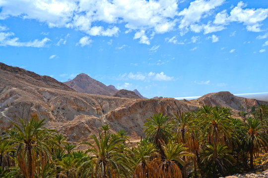 Spectacular Canyon Mides and green palm trees - Tunisia, Africa