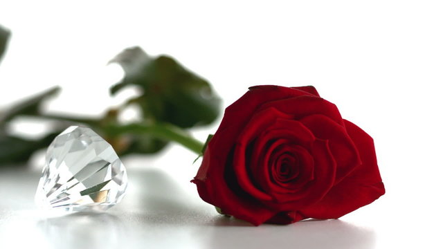 Diamond spinning beside red rose