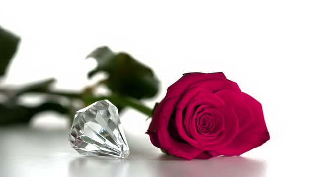 Diamond spinning beside pink rose