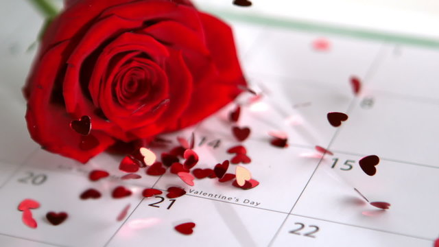 Confetti falling on red rose and calander showing Valentines day