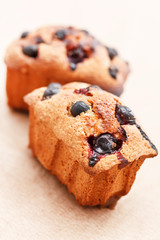 Black currant cakes