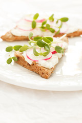 sandwiches with radish and sunflower sprouts