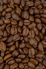 Kaffeebohnen