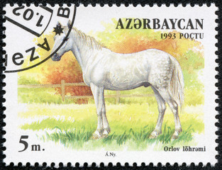 stamp shows a white horse standing in a pasture