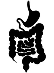 Icon eines Magen-Darm-Trakts – Vektor und freigestellt