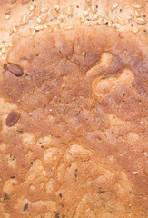seeded bread crust abstract