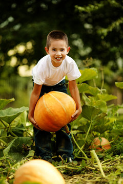 little funny boy with pumpkin