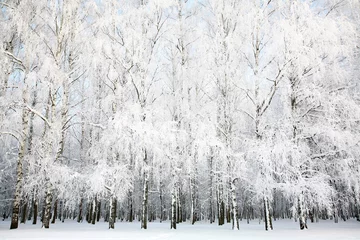 Keuken foto achterwand Winter Russische winter