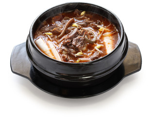 yukgaejang, spicy beef and vegetable soup, korean food