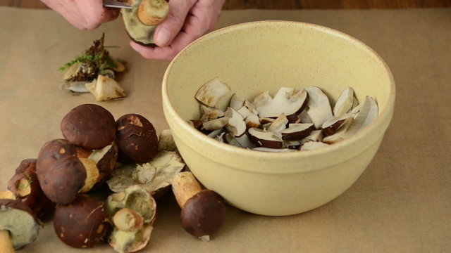 Cleaning and slicing bay Bolete mushrooms with knife in a cup