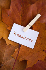 Transience