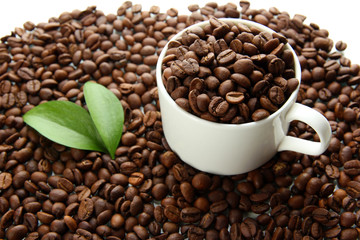 Coffee beans with leaves close-up